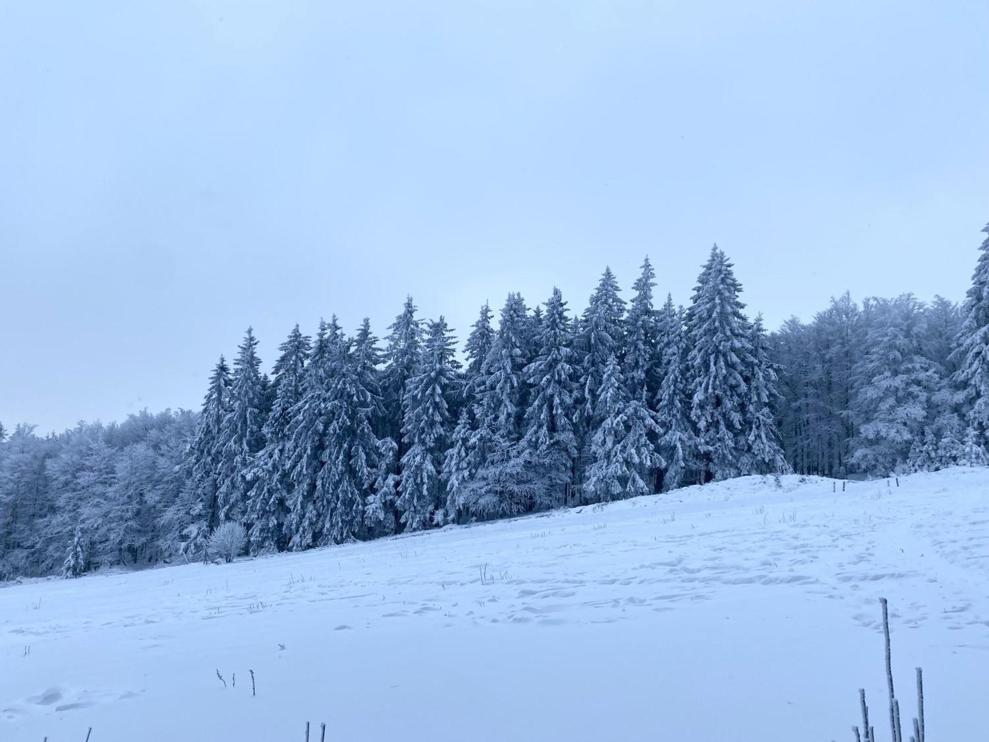 Le Chalet Du Hohwald Zewnętrze zdjęcie
